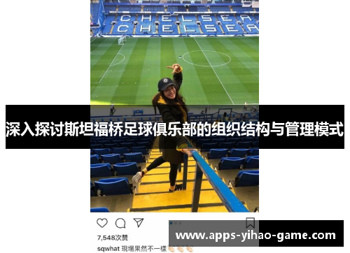 深入探讨斯坦福桥足球俱乐部的组织结构与管理模式