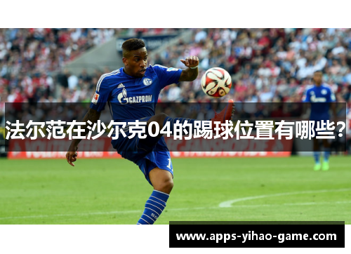 法尔范在沙尔克04的踢球位置有哪些？