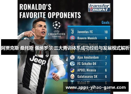 阿贾克斯 桑托斯 佩纳罗尔 三大青训体系成功经验与发展模式解析